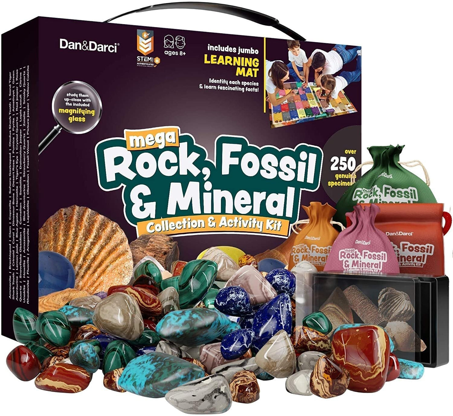 Dan&Darci Mega Rock, Fossil & Mineral Collection & Activity Kit by Surreal Brands The Shop Everything Store