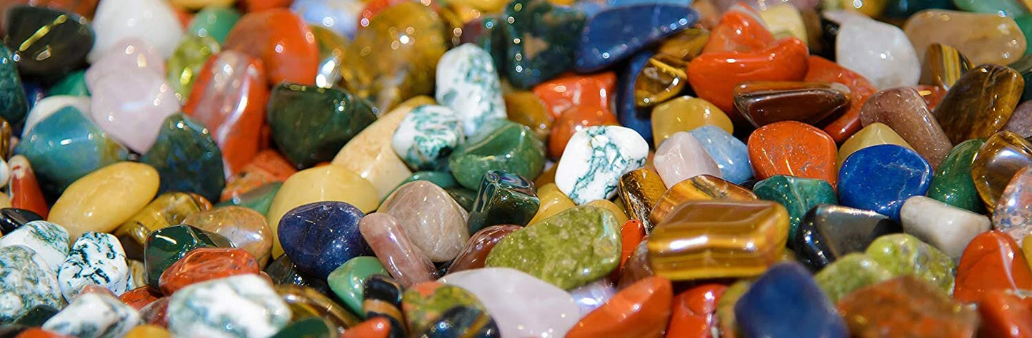 Dan&Darci Mega Rock, Fossil & Mineral Collection & Activity Kit by Surreal Brands The Shop Everything Store