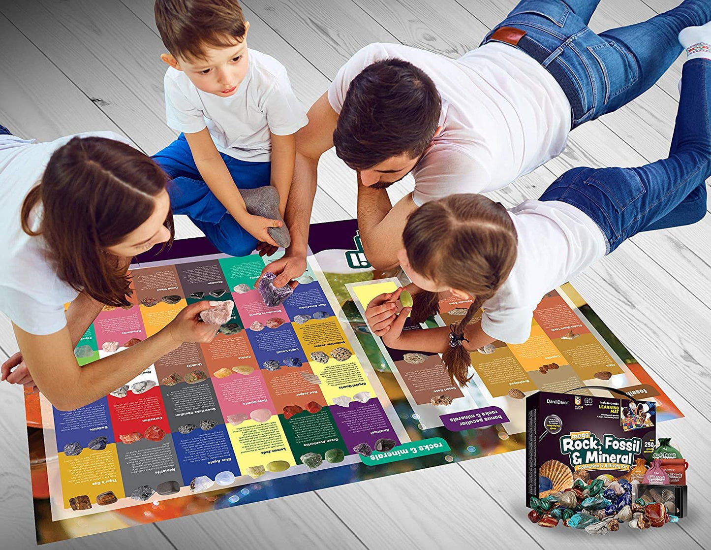 Dan&Darci Mega Rock, Fossil & Mineral Collection & Activity Kit by Surreal Brands The Shop Everything Store