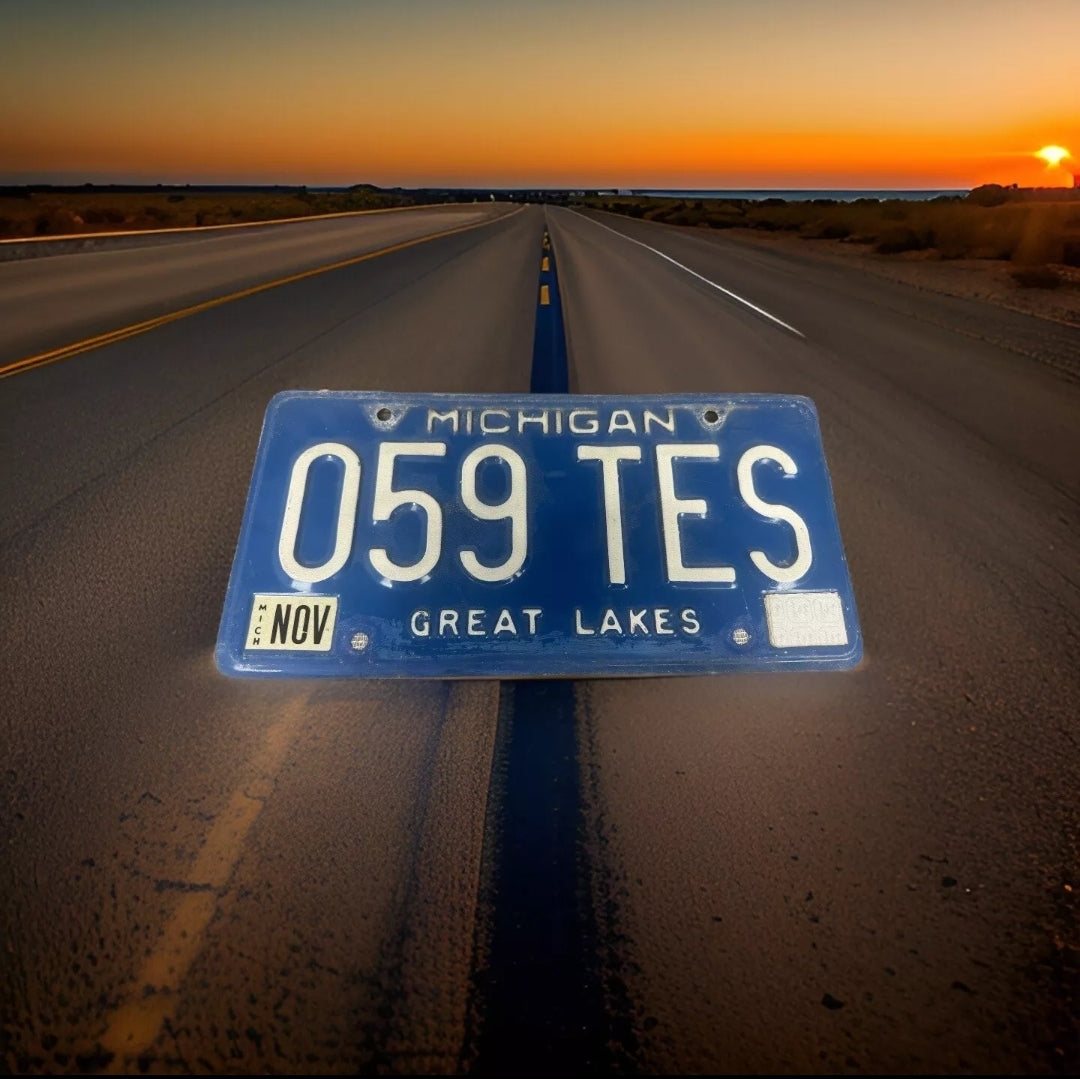 VINTAGE Michigan License Plate GREAT LAKES - The Bargains Basement