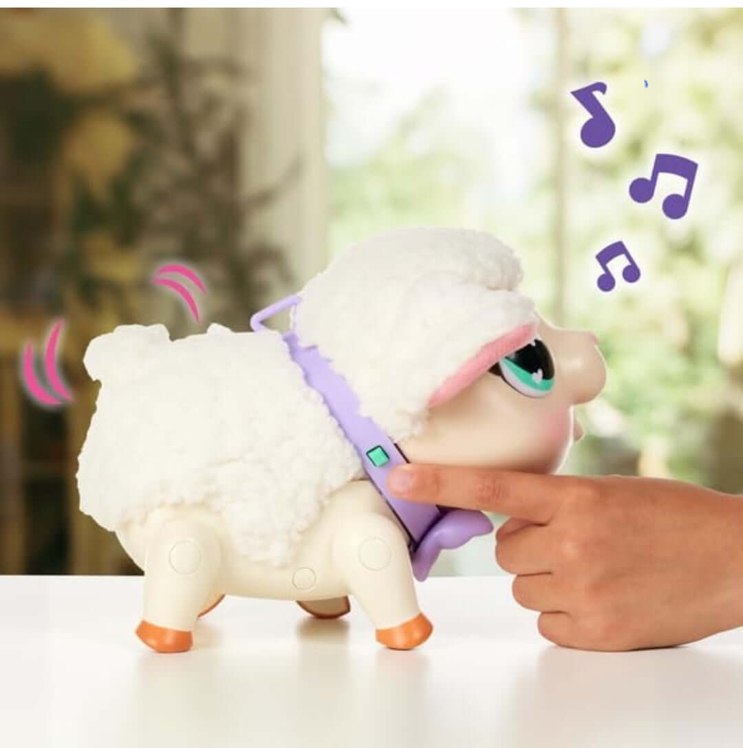 My pet Lamb Snowie - The Bargains Basement
