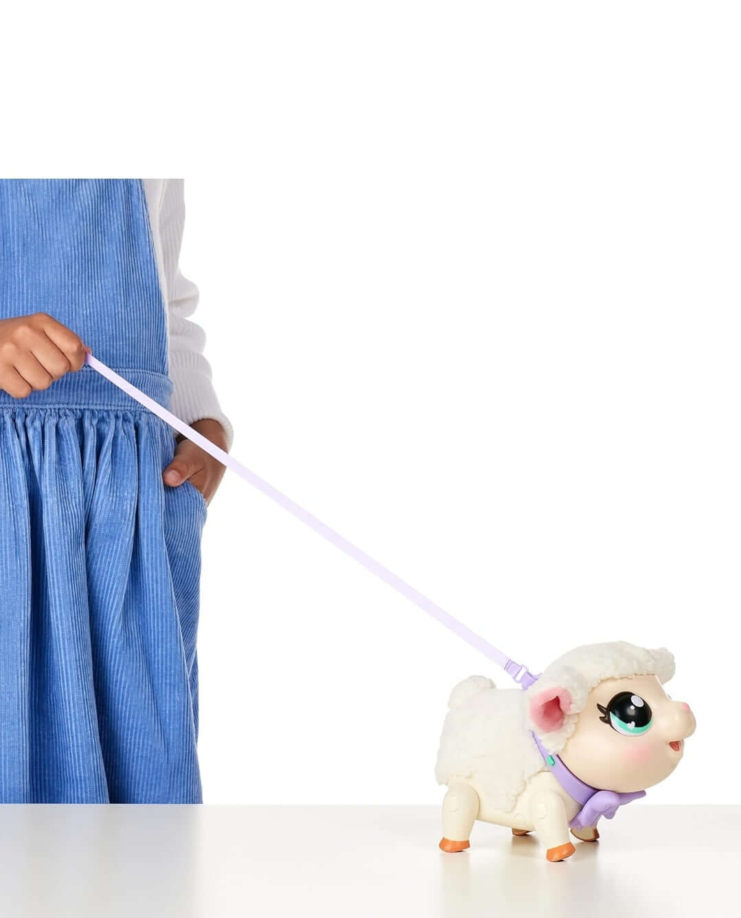 My pet Lamb Snowie - The Bargains Basement
