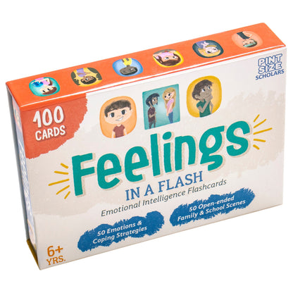 Feelings in a Flash - The Bargains BasementFeelings in a Flash