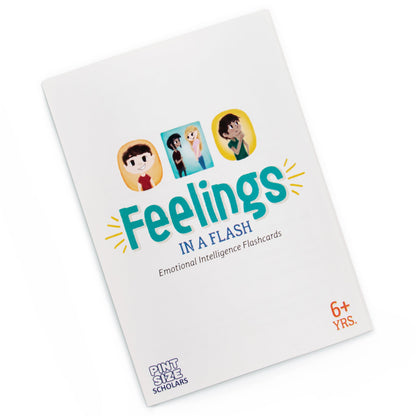 Feelings in a Flash - The Bargains BasementFeelings in a Flash