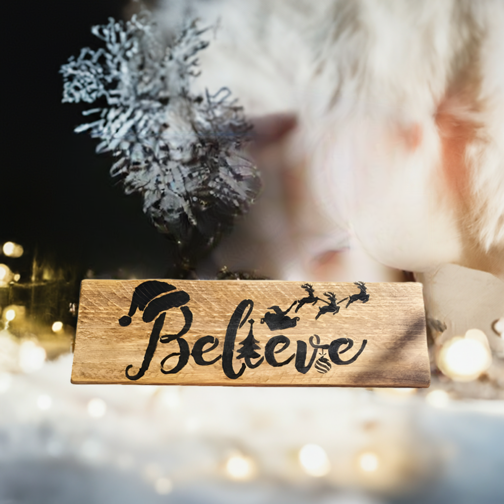 Believe handmade Christmas sign