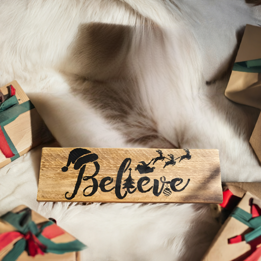 Believe handmade Christmas sign