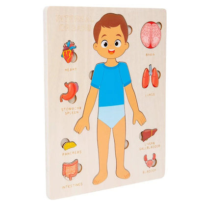 Kids Wooden Montessori Human Body Puzzle – Educational Anatomy Toy for Learning - The Bargains BasementKids Wooden Montessori Human Body Puzzle – Educational Anatomy Toy for Learning