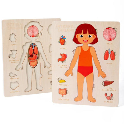 Kids Wooden Montessori Human Body Puzzle – Educational Anatomy Toy for Learning - The Bargains BasementKids Wooden Montessori Human Body Puzzle – Educational Anatomy Toy for Learning