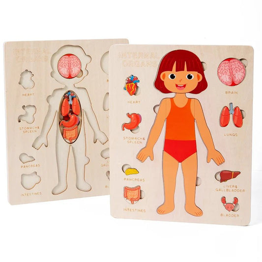Kids Wooden Montessori Human Body Puzzle – Educational Anatomy Toy for Learning - The Bargains BasementKids Wooden Montessori Human Body Puzzle – Educational Anatomy Toy for Learning