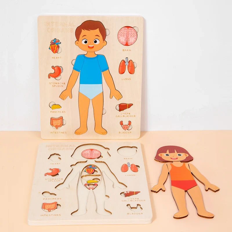 Kids Wooden Montessori Human Body Puzzle – Educational Anatomy Toy for Learning - The Bargains BasementKids Wooden Montessori Human Body Puzzle – Educational Anatomy Toy for Learning
