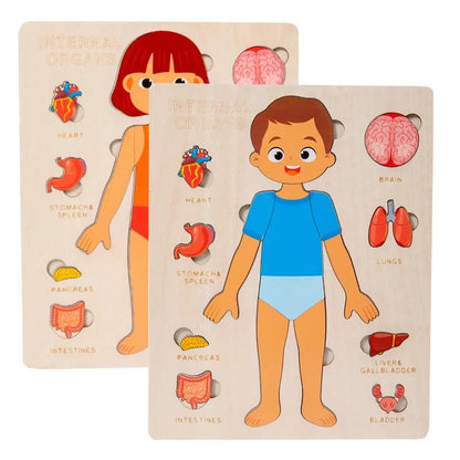 Kids Wooden Montessori Human Body Puzzle – Educational Anatomy Toy for Learning - The Bargains BasementKids Wooden Montessori Human Body Puzzle – Educational Anatomy Toy for Learning