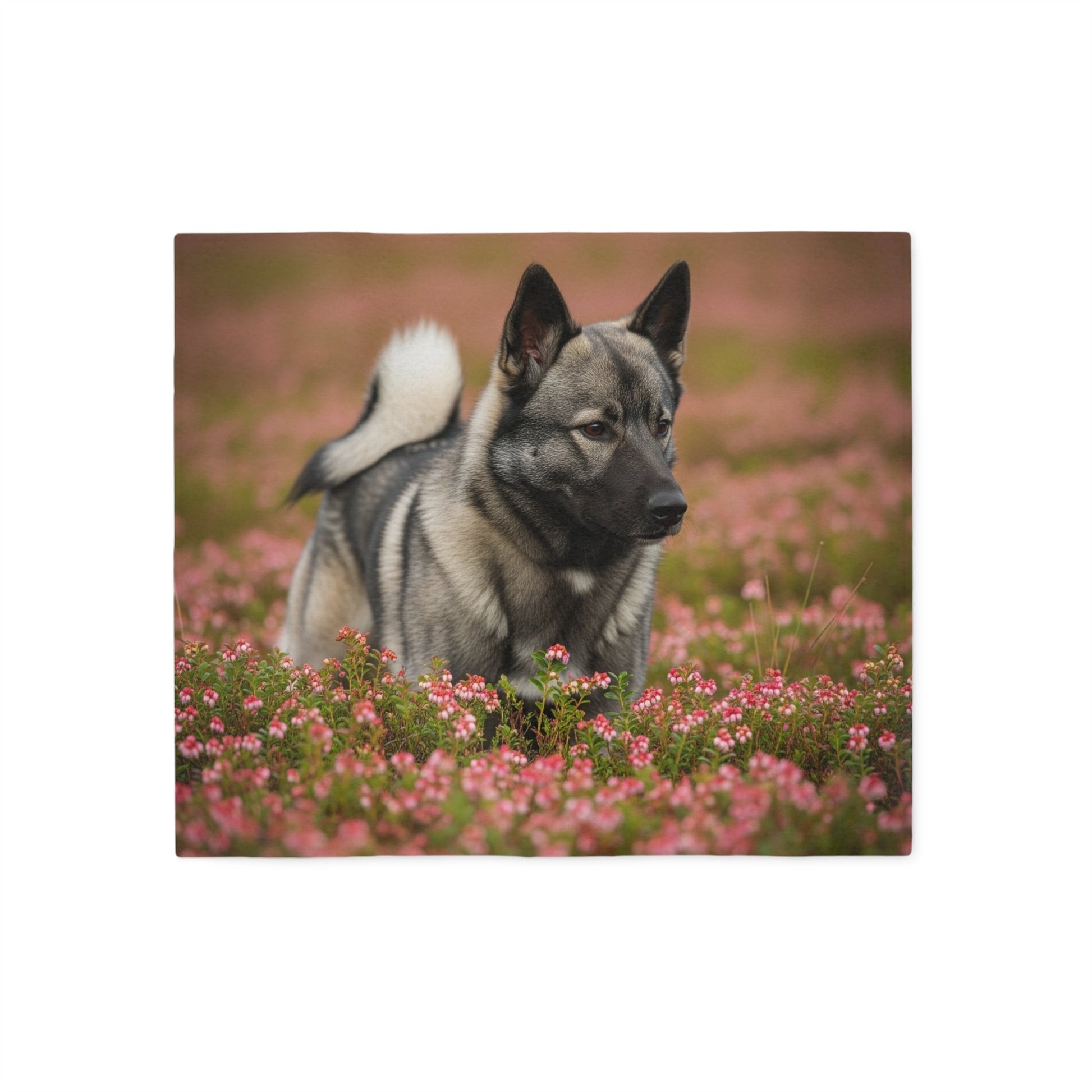 Norwegian Elkhound Sweatshirt Blanket - The Bargains BasementNorwegian Elkhound Sweatshirt Blanket