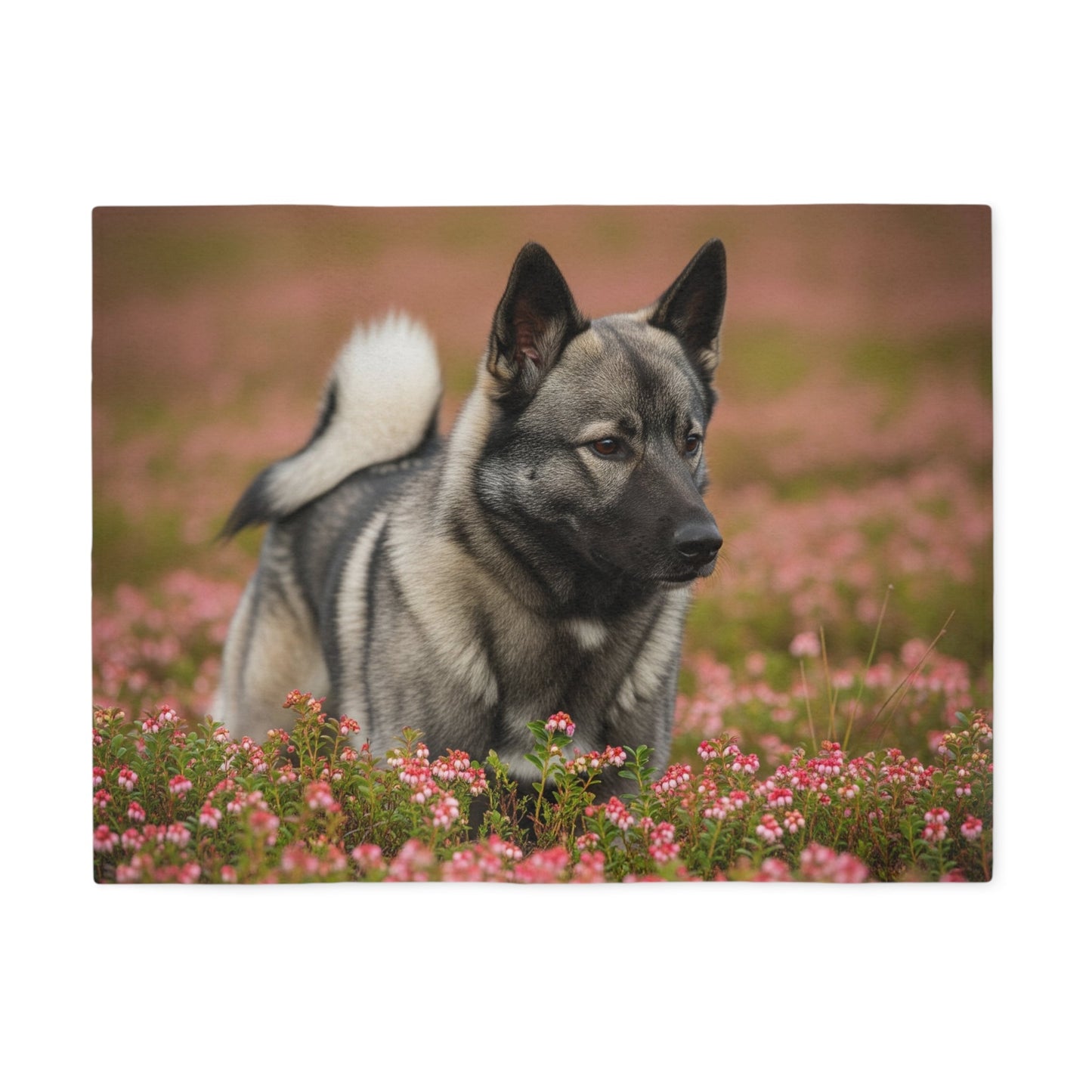 Norwegian Elkhound Sweatshirt Blanket - The Bargains BasementNorwegian Elkhound Sweatshirt Blanket